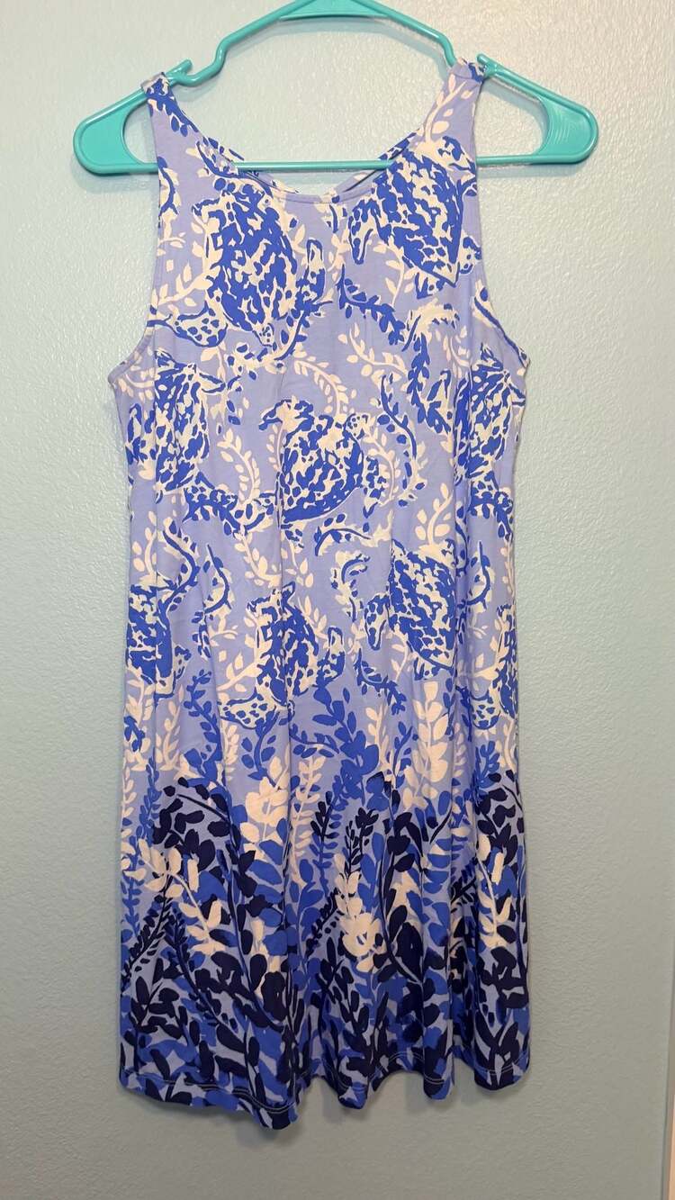 Lilly Pulitzer Kristen Dress S
